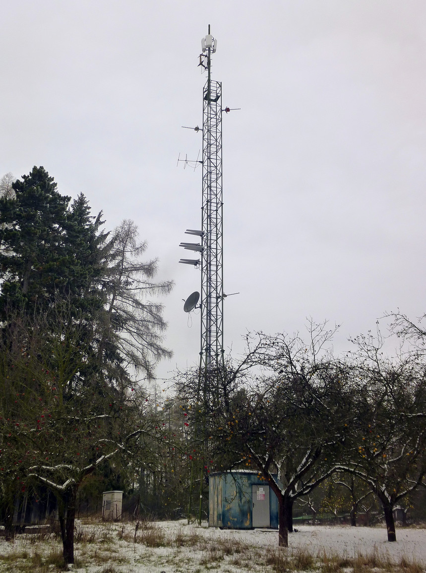 foto